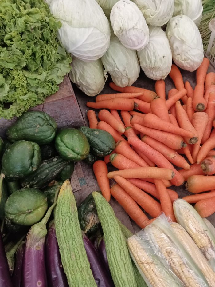 A vibrant display of fresh organic vegetables including cabbage, carrots, and greens.